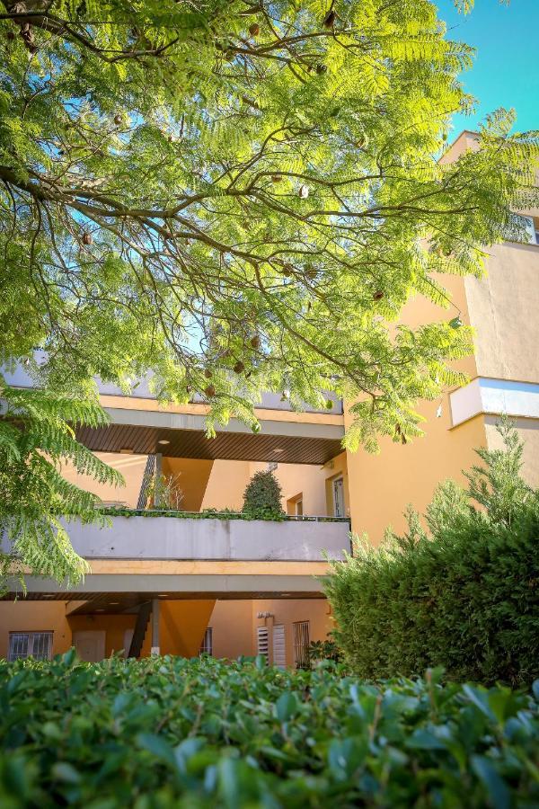 Montesol Home - Parking Gratis アヤモンテ エクステリア 写真